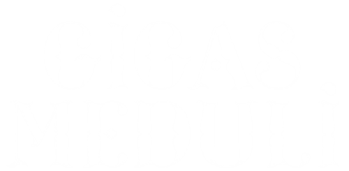 Huîtres Gigas Meduli